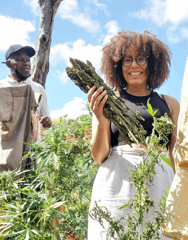Kingston Ganja Tour
